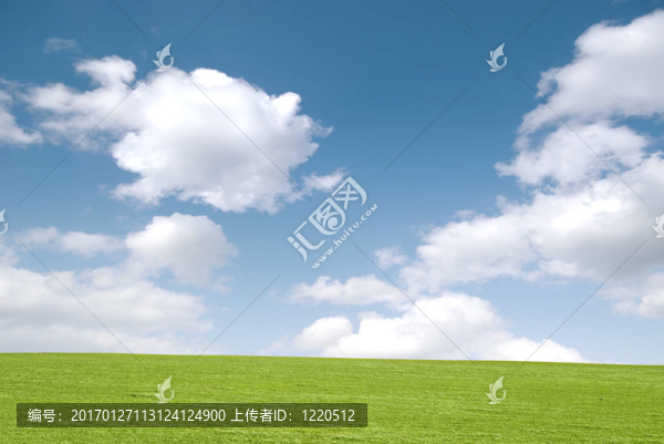 夢幻般的草地
