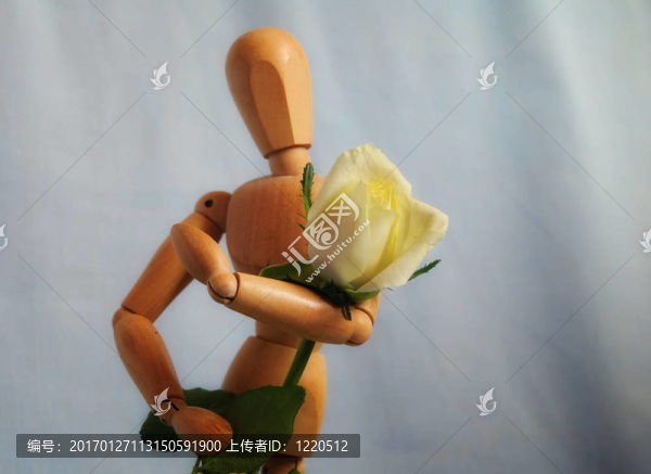 木偶給玫瑰