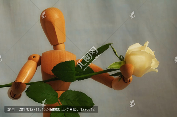 木偶給玫瑰