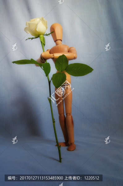 木偶給玫瑰