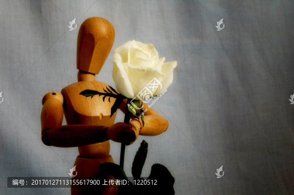 木偶給玫瑰