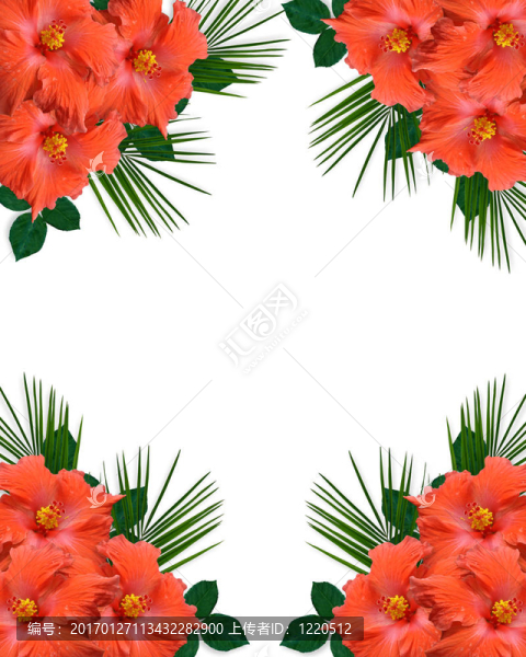 芙蓉?zé)釒н吘车腇lowers-匯圖網(wǎng) www.fosd68.com 芙蓉?zé)釒н吘车腇lowers