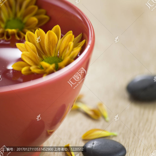 一碗水和花