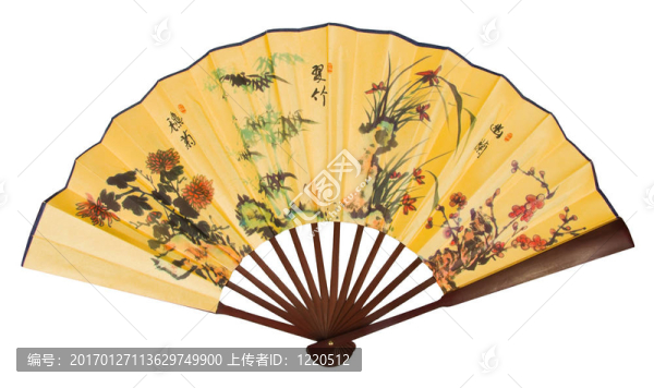 亞洲龍孤立球迷