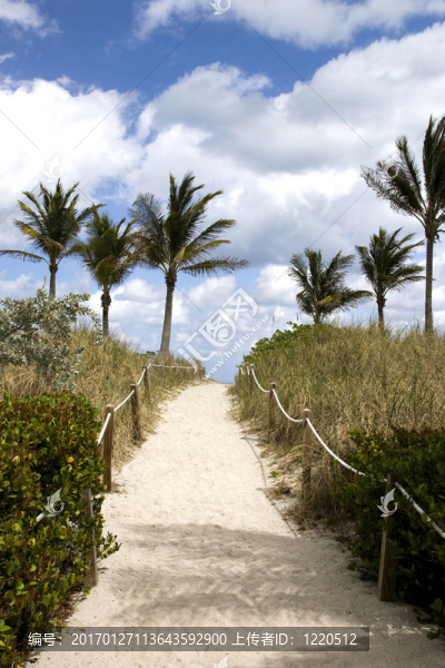 Sandy,Path去海灘