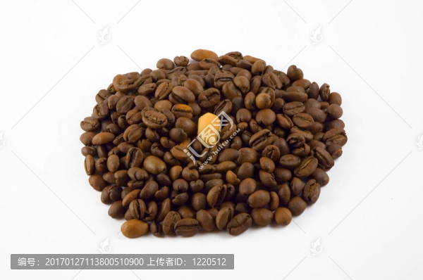 單花生咖啡豆