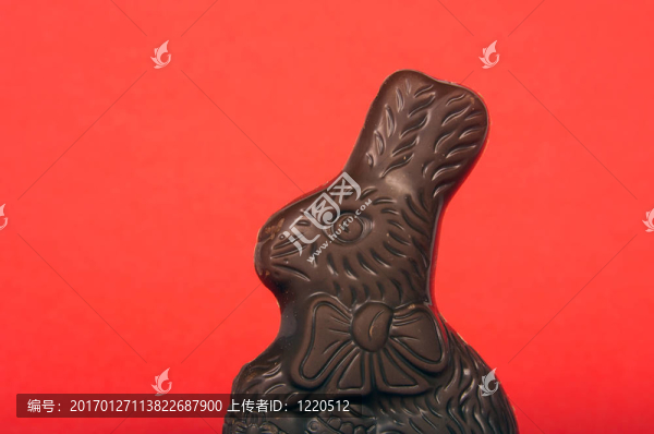 cholcolate兔子紅