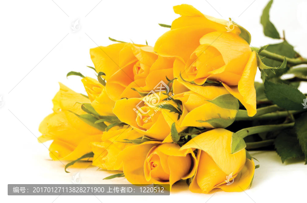 一束花