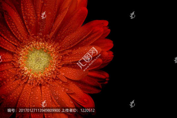 紅太陽(yáng)