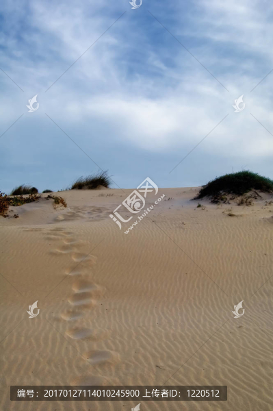 在海灘的沙丘-匯圖網(wǎng) www.fosd68.com 在海灘的沙丘