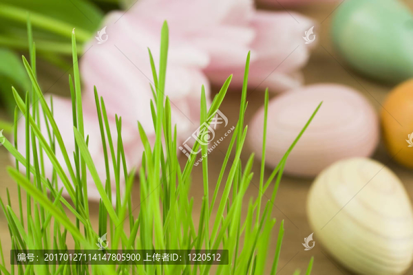 復活節(jié)的靜物