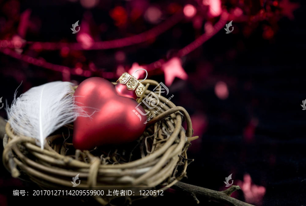 圣誕節(jié)和新年概念