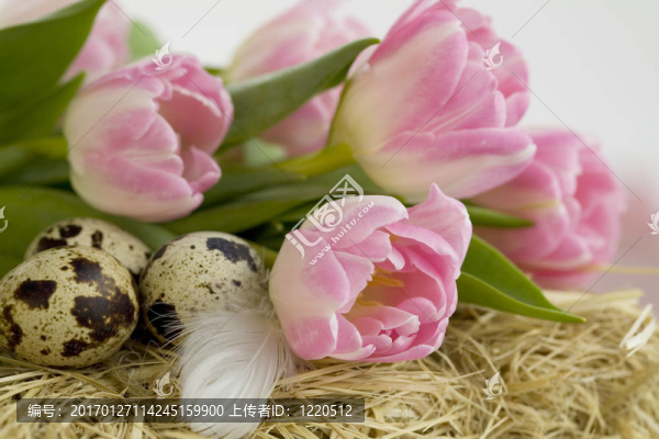 復(fù)活節(jié)郁金香和雞蛋-匯圖網(wǎng) www.fosd68.com 復(fù)活節(jié)郁金香和雞蛋