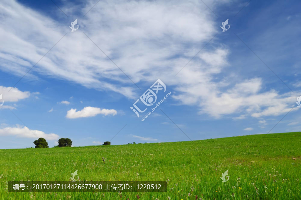 綠地與天空背景