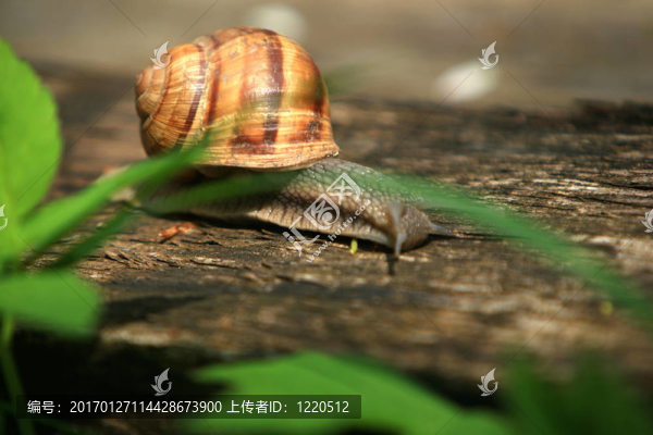 慢二