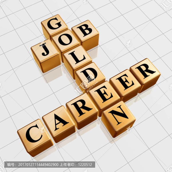 金的工作和職業(yè)生涯中縱橫