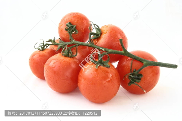 西紅柿