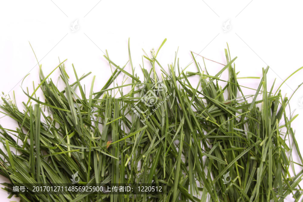 只是草