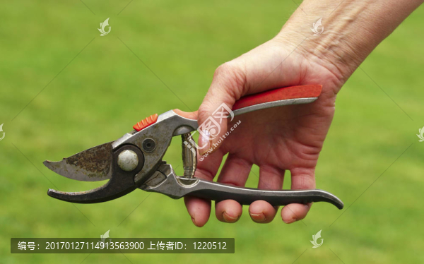 工具的花園