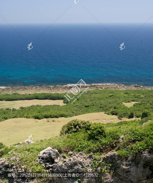 藍(lán)色海洋的綠地