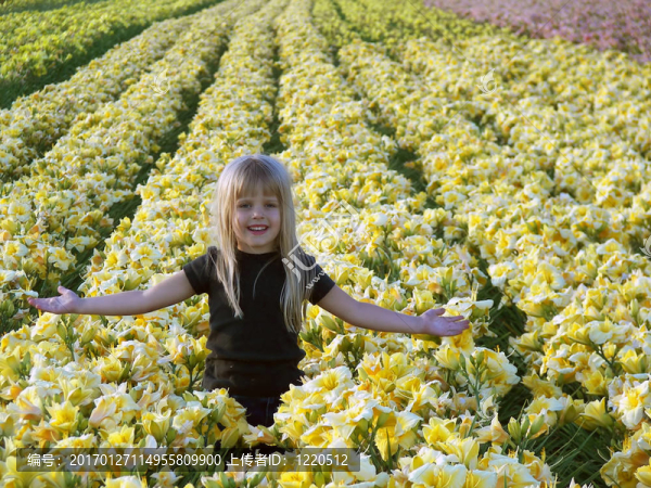 在她的領(lǐng)域突出