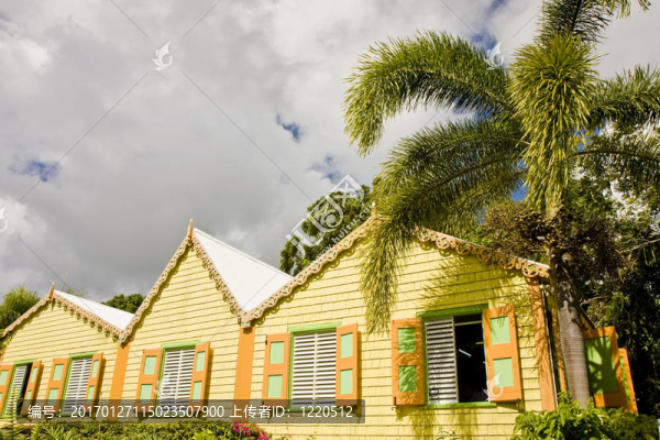棕櫚樹下的黃綠色和橙色建筑