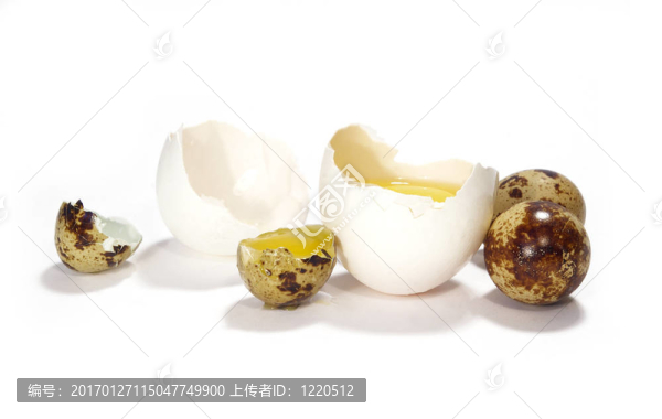 在白色的雞蛋上
