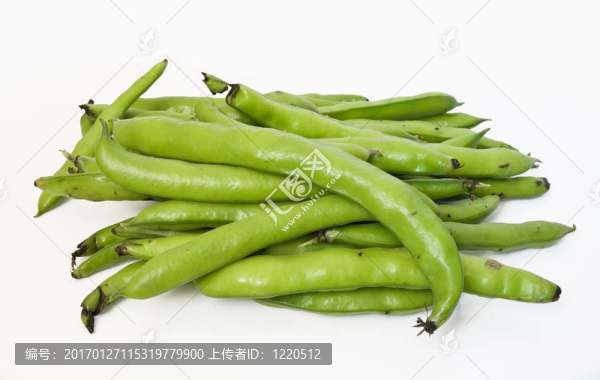 最喜歡的