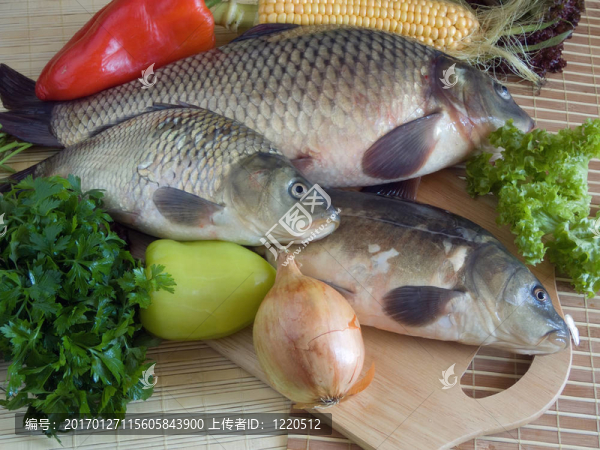 鯉魚(yú)