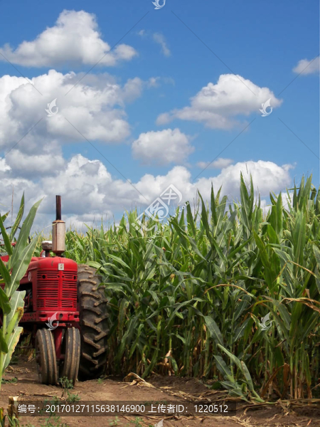 美國(guó)的心跳聲-匯圖網(wǎng) www.fosd68.com 美國(guó)的心跳聲