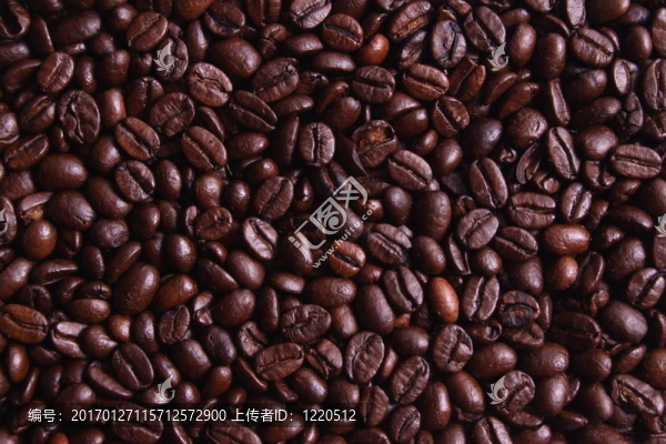 咖啡豆-匯圖網(wǎng) www.fosd68.com 咖啡豆