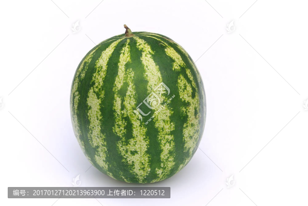 西瓜08