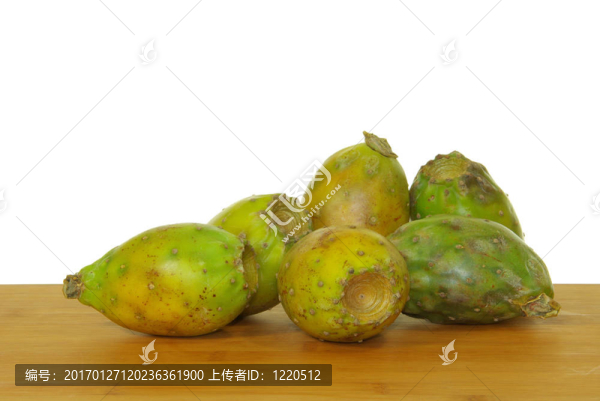 仙人掌09
