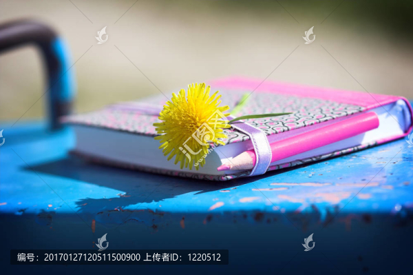 筆記本；鉛筆和花