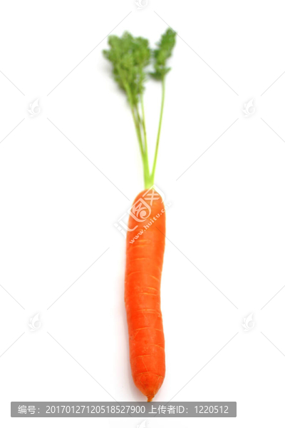 胡蘿卜