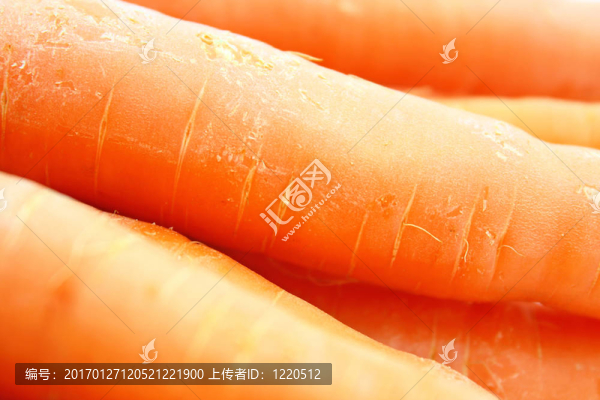 胡蘿卜