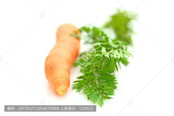 胡蘿卜