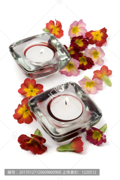 芳香療法的概念