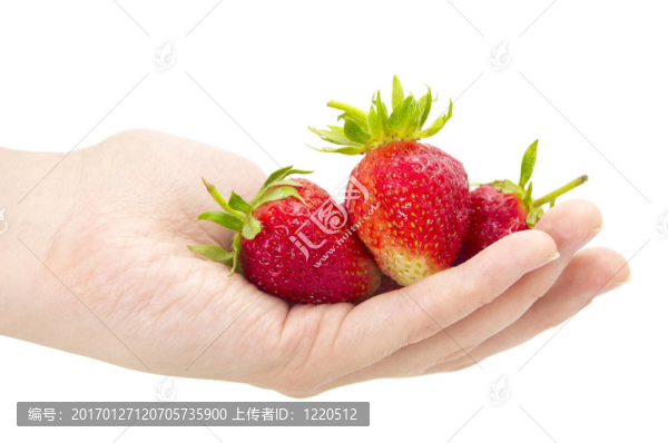 新鮮草莓在手