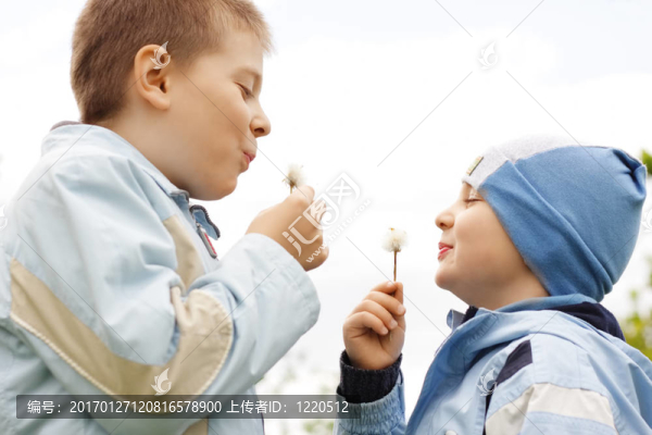 蒲公英的戰(zhàn)斗-匯圖網(wǎng) www.fosd68.com 蒲公英的戰(zhàn)斗