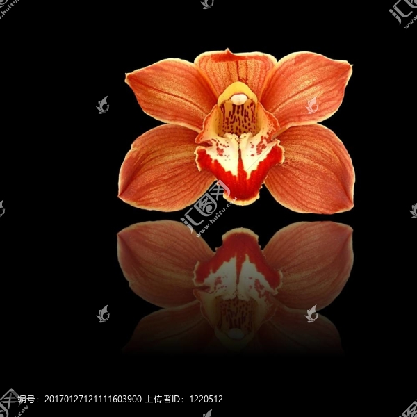 紅色反射
