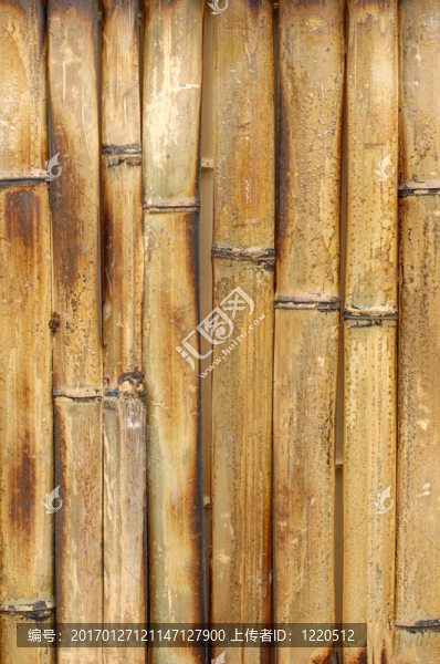 竹的背景-匯圖網(wǎng) www.fosd68.com 竹的背景