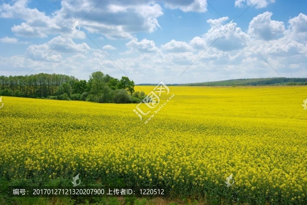 場(chǎng)-匯圖網(wǎng) www.fosd68.com 場(chǎng)