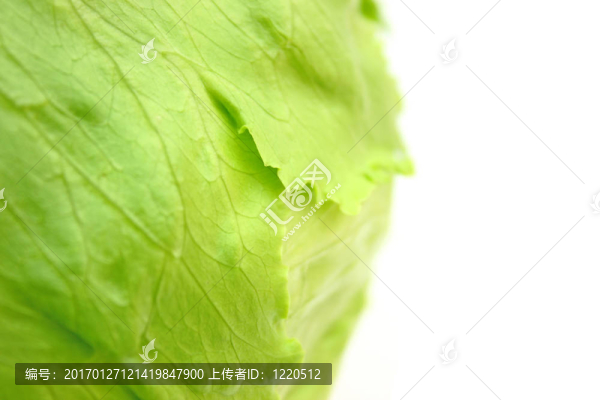 薩拉德