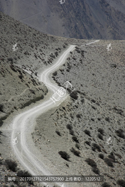 蜿蜒的道路