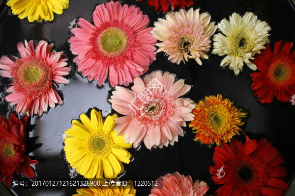 花在水