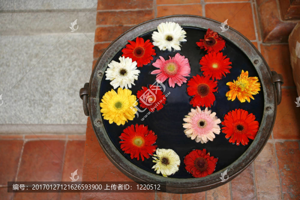 花在水