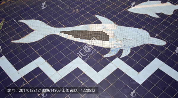 海豚馬賽克