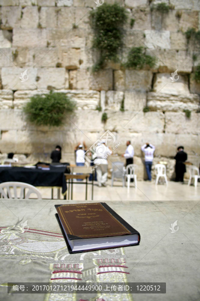 猶太圣經(jīng)-匯圖網(wǎng) www.fosd68.com 猶太圣經(jīng)