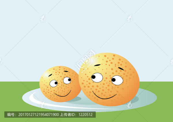 盤子上的兩個(gè)桔子